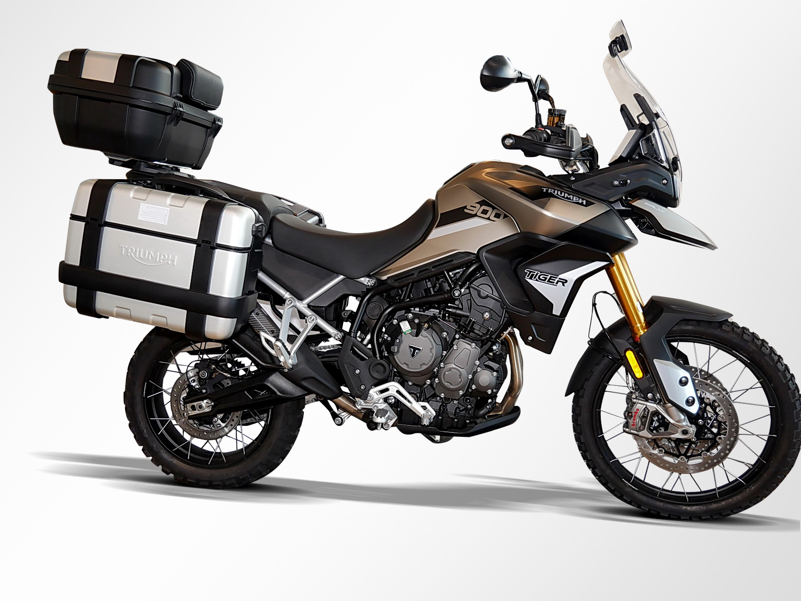 TRIUMPH TIGER 900 (1/11)